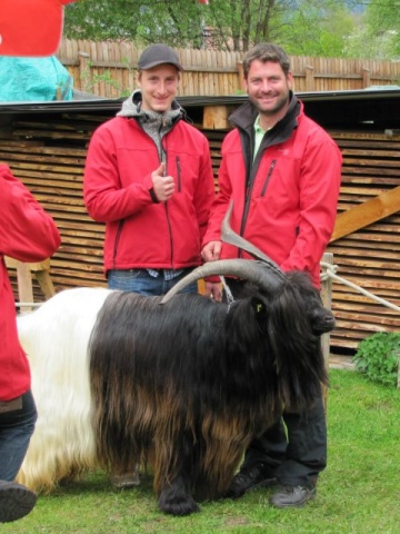 Foto mit Bernhard und Josef Gröbl mit Lucky ein wallisicher Schwarzhalsziegenbock, der bei der Jungziegenschau volle Punktzahl (4 mal 8 Punkte) erreichte