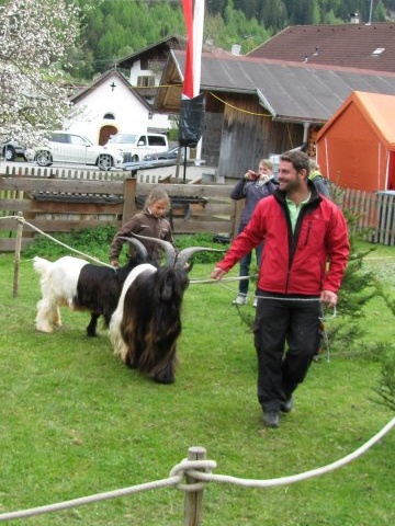 Foto mit Josef und Verena Gröbl und zwei Wallisischen Schwarzhalsziegen