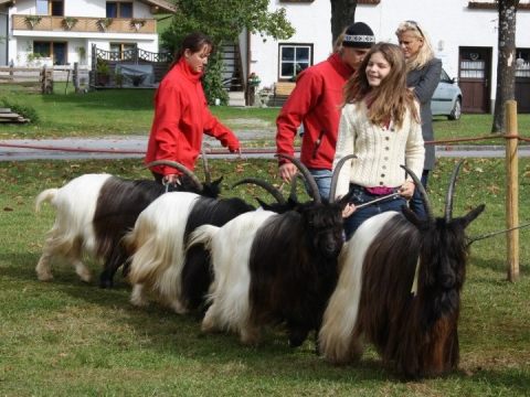 Gruppenfoto mit Stefanie Ludwig, Bernhard Gröbl