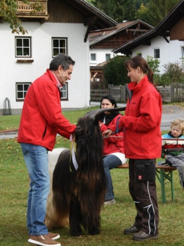 Foto Stefanie Ludwig mit wallisischer Schwarzhalsziege