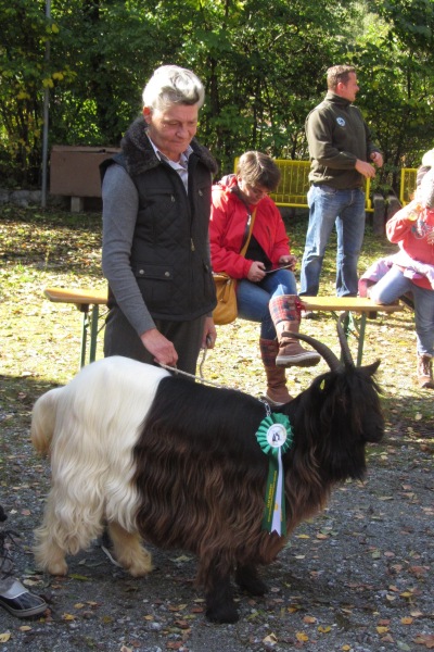 Foto Diana Gröbl mit Aletschji einer Sieger der Wallisischen Schwarzhalsziegen